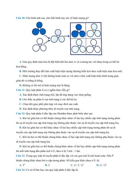 [FullText] Công Phá Sinh 2 - Phạm Thị Thanh Thảo - LoveBook