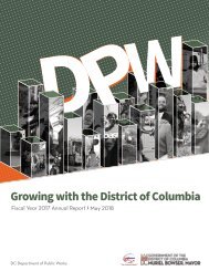 DPW FY 2017 Annual Report