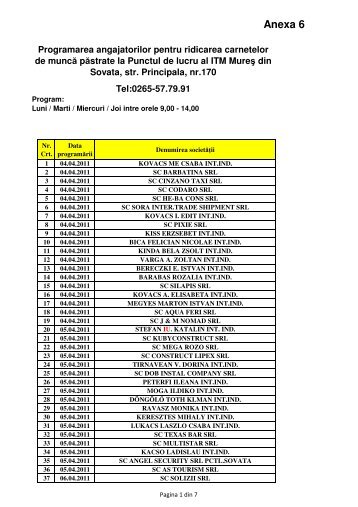 Anexa 6 - Programare Sovata v2