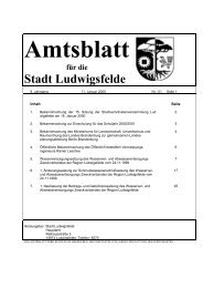 Amtsblatt für die Stadt Ludwigsfelde