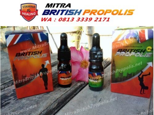 0813 3339 2171 (WA), British Propolis BPOM Surabaya