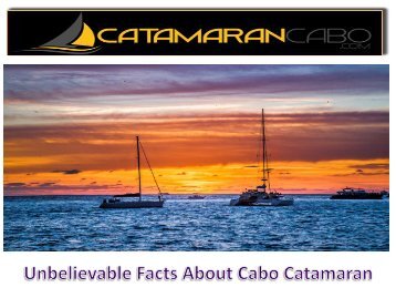 Unbelievable Facts About Cabo Catamaran