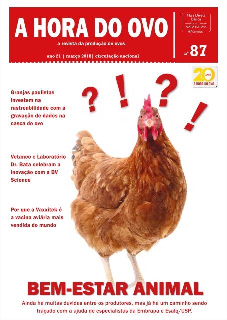 Ovo de 'galinha feliz'? Conheça os diferentes tipos de ovos - Economia -  Estado de Minas