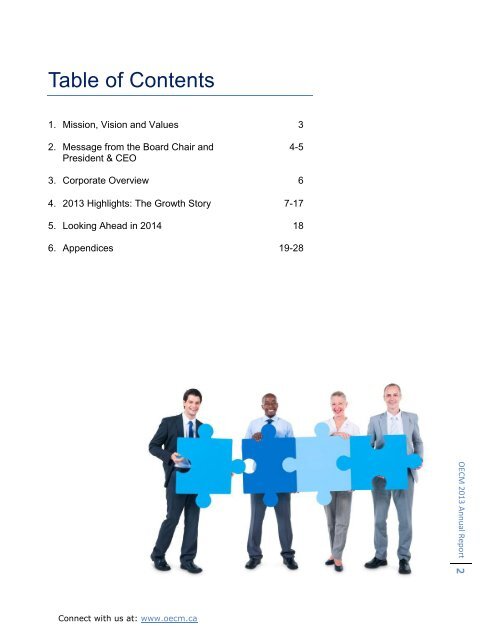 2013-OECM-Annual-Report