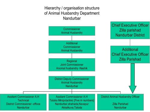 Organisational chart - Nandurbar District
