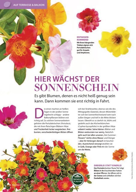 Dehner Magazin - 3/2018