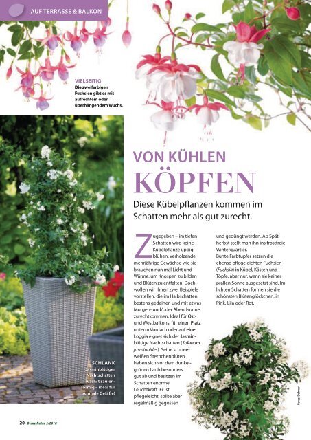 Dehner Magazin - 3/2018