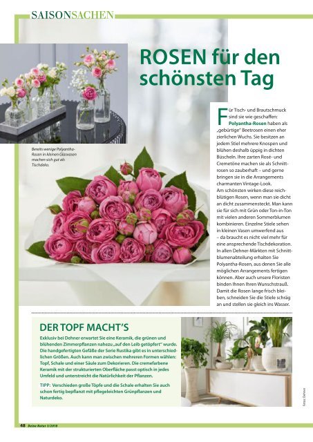 Dehner Magazin - 3/2018