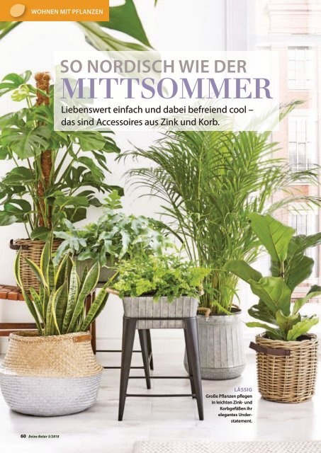 Dehner Magazin - 3/2018