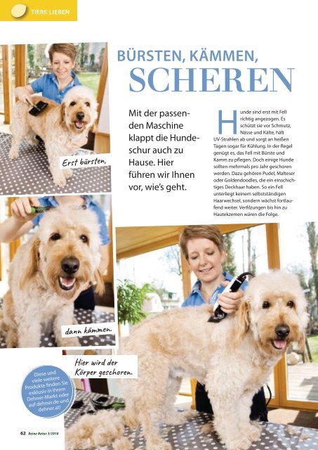 Dehner Magazin - 3/2018