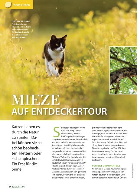 Dehner Magazin - 3/2018