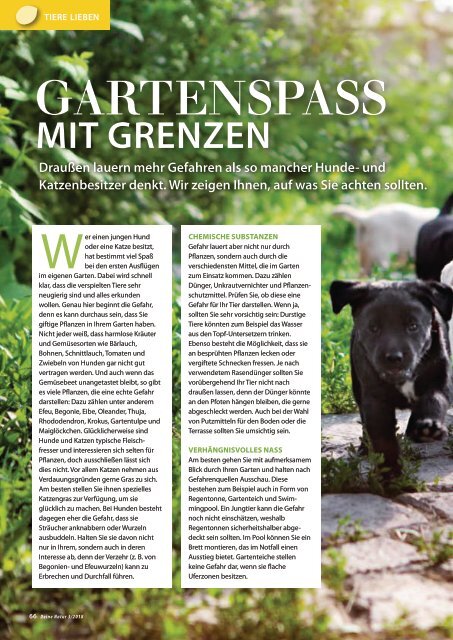 Dehner Magazin - 3/2018