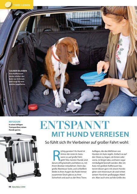 Dehner Magazin - 3/2018