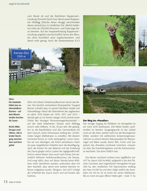 Jagd & Natur Ausgabe Juni 2018 | Vorschau