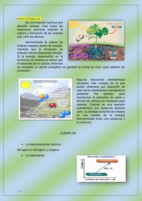 PROCESO DE TRANSFORMACIÓN EN LOS SERES VIVOS