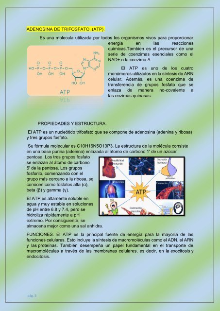 PROCESO DE TRANSFORMACIÓN EN LOS SERES VIVOS