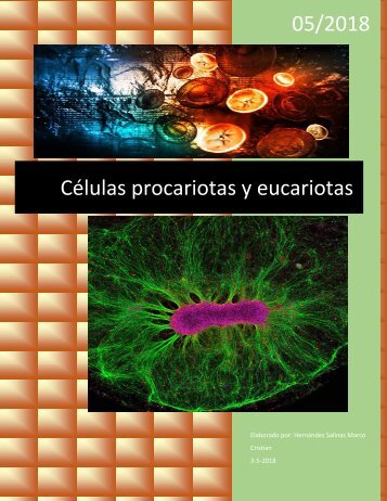Células procariotas y eucariotas