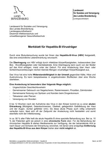 Merkblatt für Hepatitis-B-Virusträger - Brandenburg.de