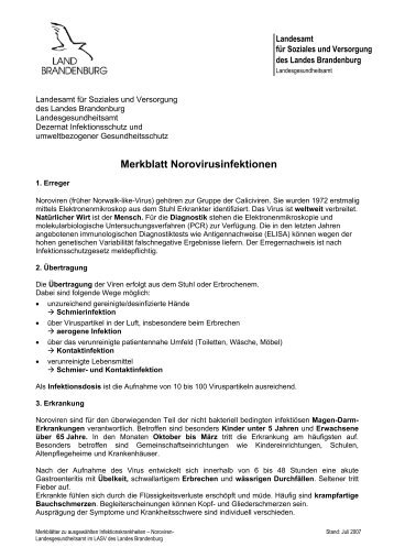 Merkblatt Norovirusinfektionen - Brandenburg.de