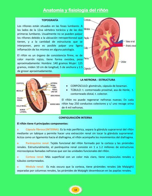 CÁNCER DE VEJIGA REVISTA DIGITAL