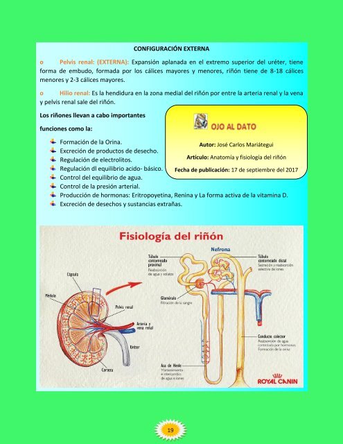 CANCER DE VEJIGA REVISTA DIGITAL - copia