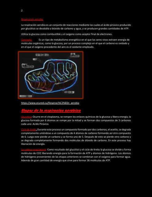 glucolisis respiracion aerobica y anaerobica