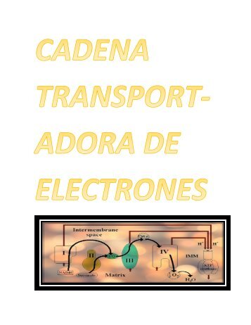 CADENA transportadora de electrones 