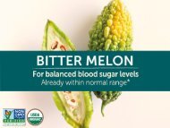 Bitter Melon Sales Sheet 