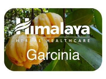 Garcinia Sales Sheet