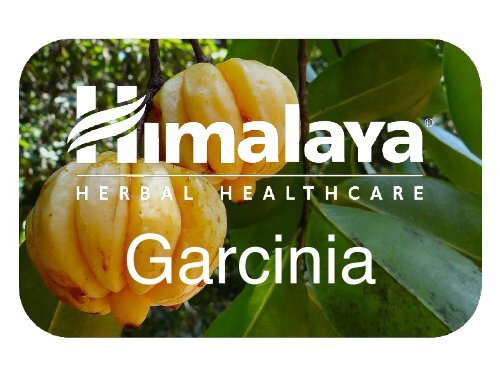 Garcinia Sales Sheet