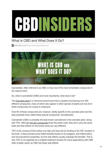 CBD Edibles: Everything You Should Know ...