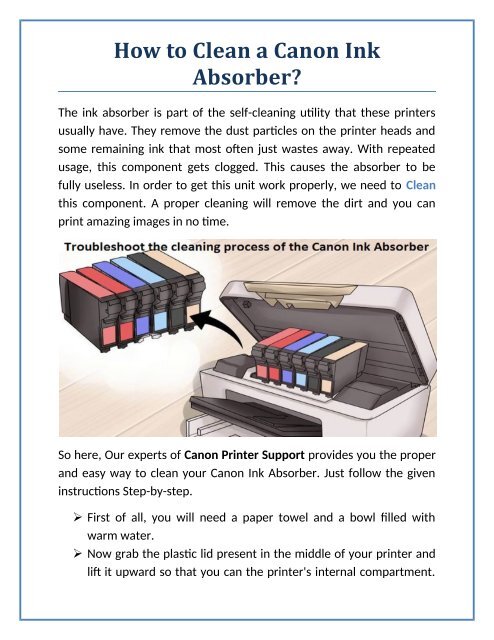 How to Clean a Canon Ink Absorber