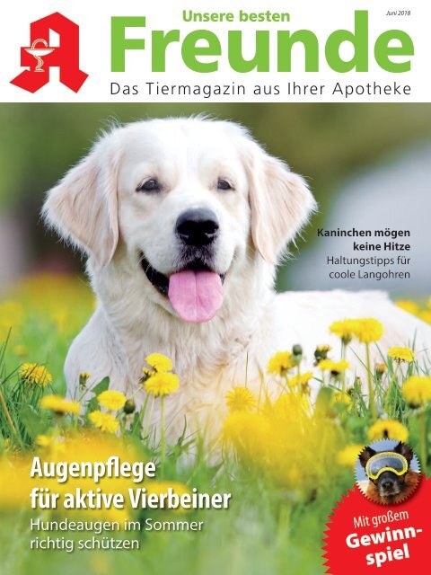 Leseprobe "Unsere besten Freunde" Juni 2018