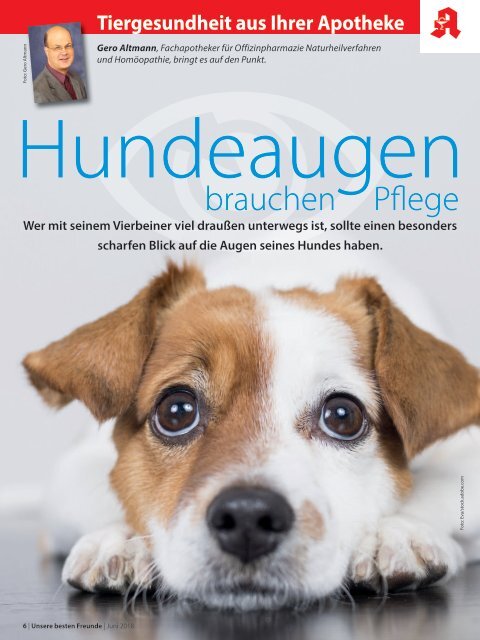 Leseprobe "Unsere besten Freunde" Juni 2018