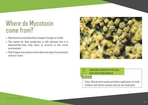 Mycotoxin E book  3 A5 size 04