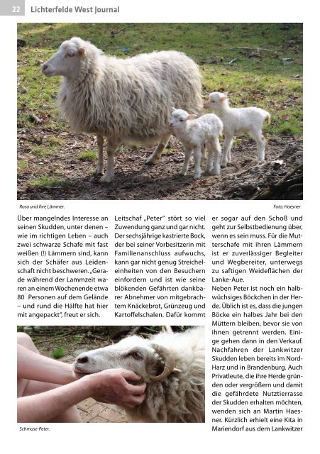 Lichterfelde West Journal Jun/Jul 2018