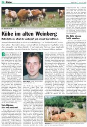 Kühe im alten Weinberg - Bäuerliche Erzeugergemeinschaft ...