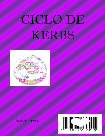 CICLO DE KERBS