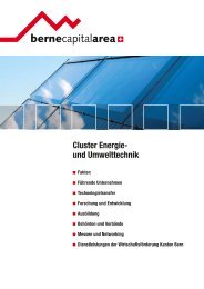 Cluster Energie- und Umwelttechnik - Bern