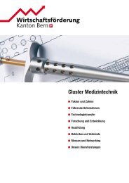 Cluster Medizintechnik - Bern