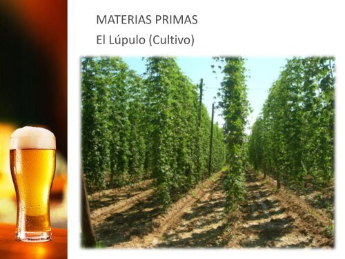 Presentación Curso Cerveza