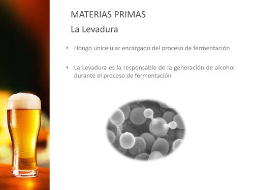 Presentación Curso Cerveza