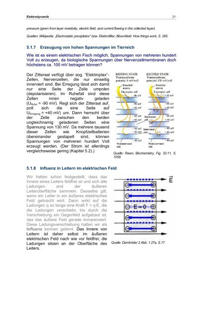 Elektrodynamik und Optik - Fachbereich Physik der Universität ...