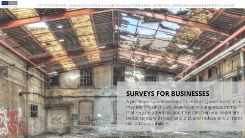 Surveys for Businesses