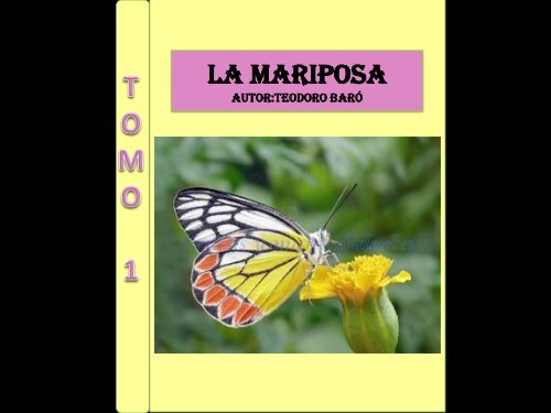 LA_MARIPOSA