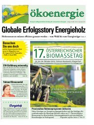 Ökoenergie 88 - Österreichischer Biomasse-Verband