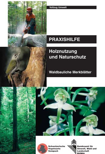 PRAXISHILFE Holznutzung und Naturschutz - Waldwissen.net