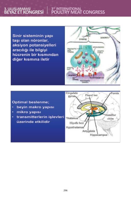 3. Uluslararası Beyaz Et Kongresi