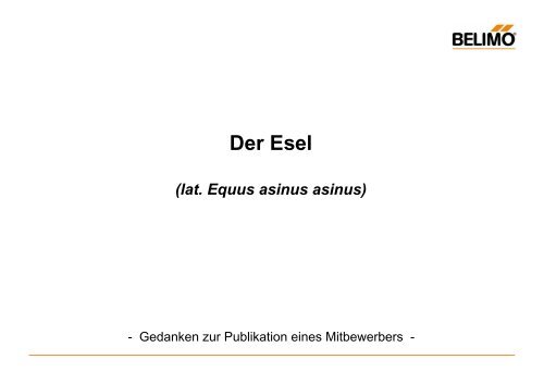 Der Esel - Belimo