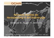 Relevante Aspekte der Herdsanierung in der Oralchirurgie